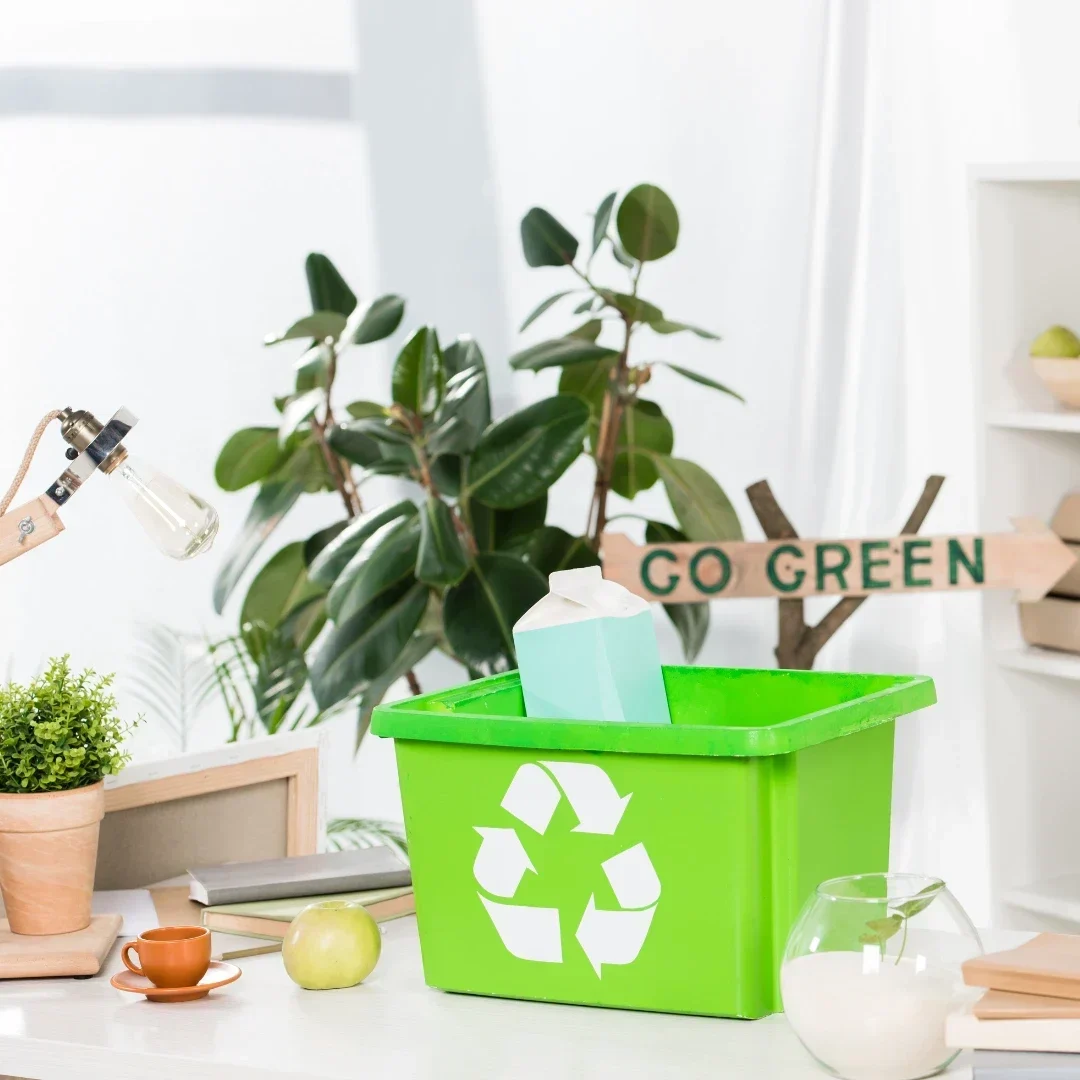 eco-friendly products in a natural-lit kitchen